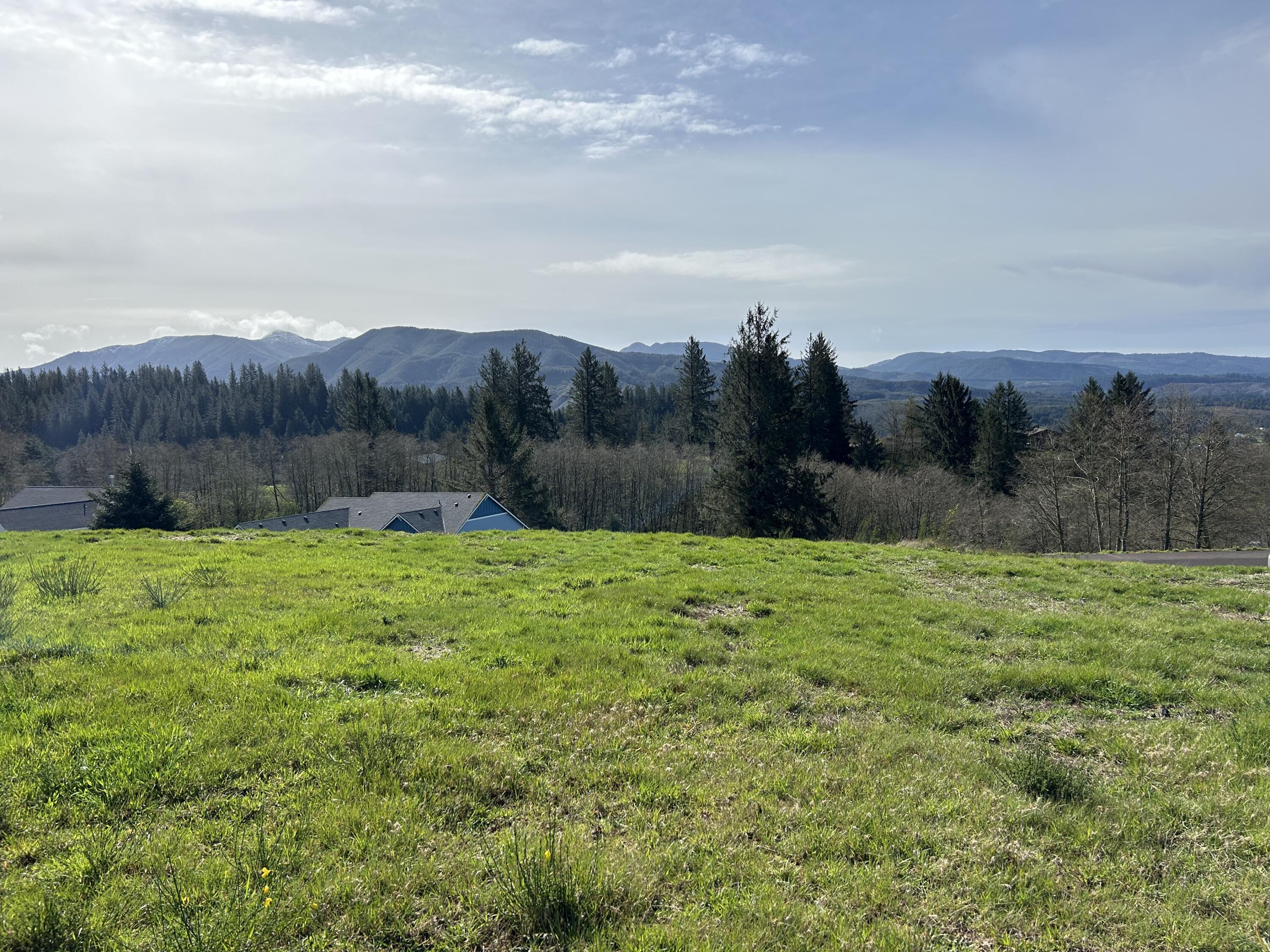 Lot 22 Skyview Road Tillamook, OR 97141 - Photo 5 of 5 IMG_7186