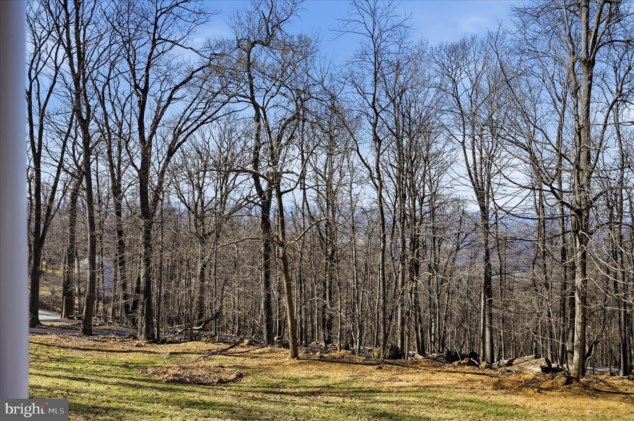 168 Deer Trail Road Front Royal, VA 22630 - Photo 40 of 58 Front Yard