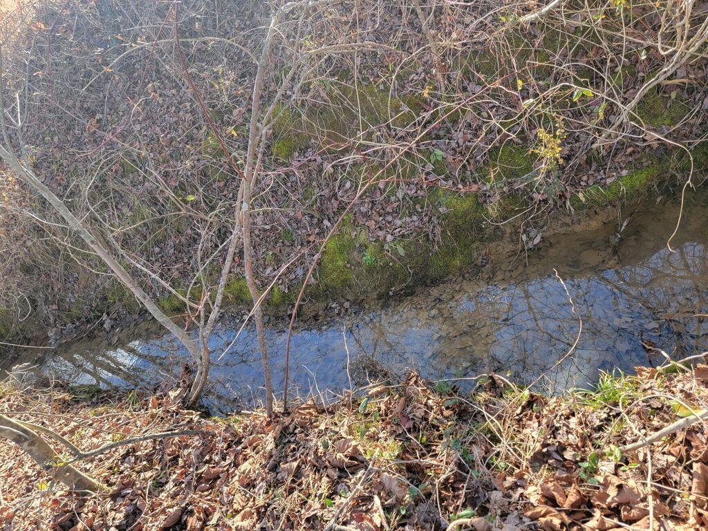 465 Panter Bottom Road Pikeville, TN 37367 - Photo 56 of 62 57