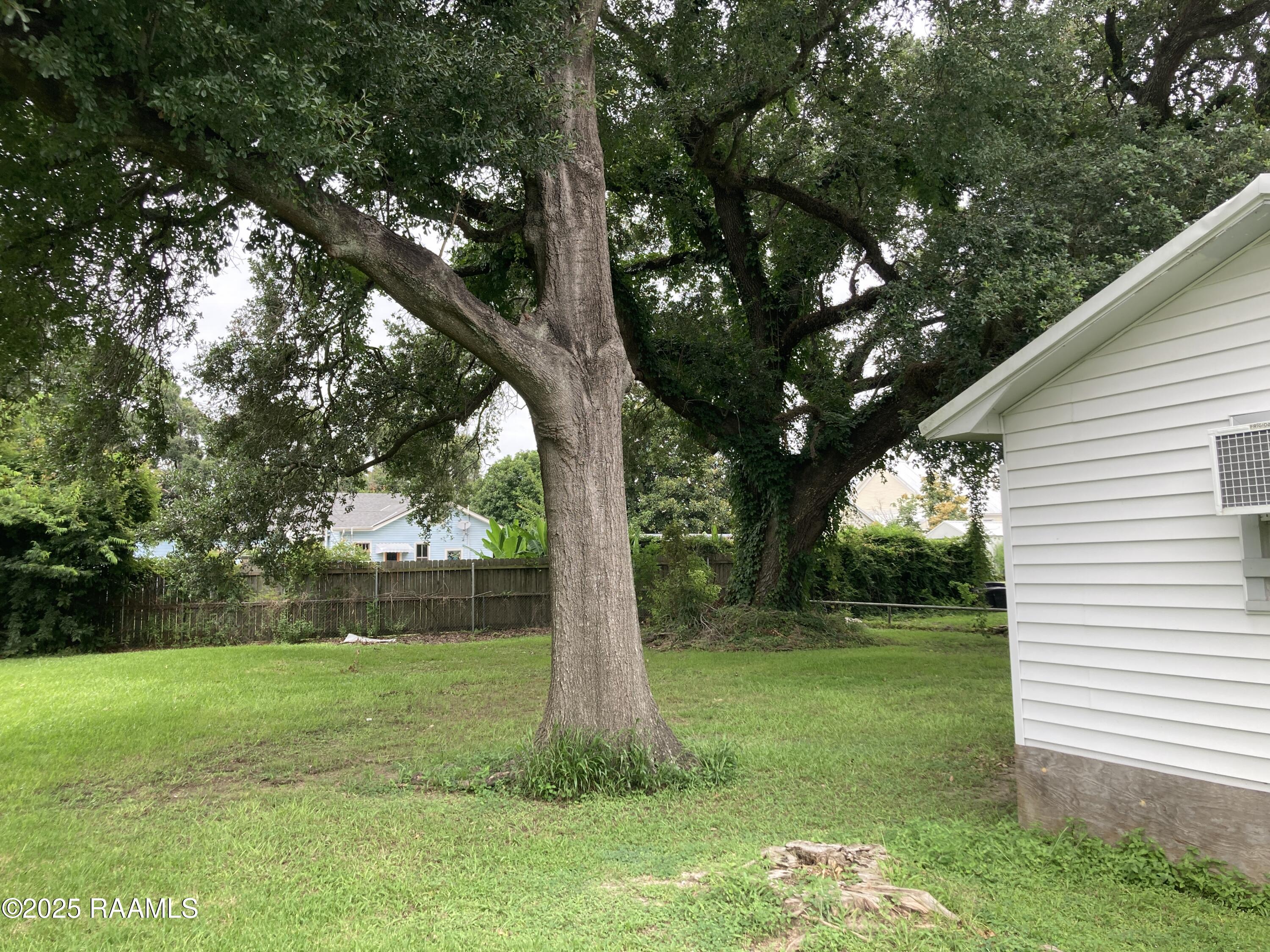 5804 Cameron Street Scott, LA 70583 - Photo 3 of 6 Oak Trees