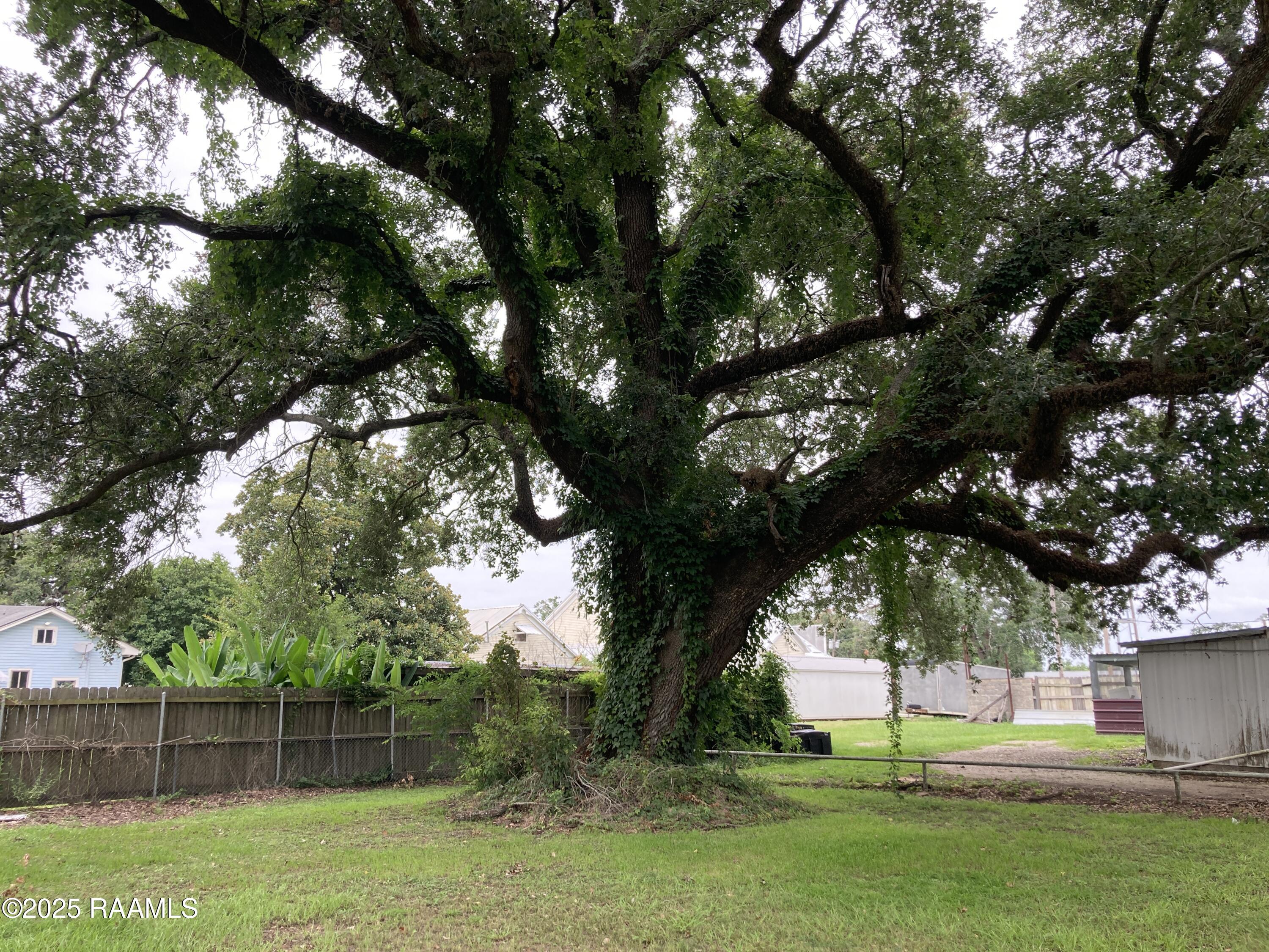 5804 Cameron Street Scott, LA 70583 - Photo 4 of 6 Live Oak