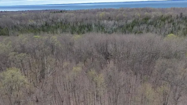 $120,000 | 0 Kilkenny Lane, Ellsworth, MI 49729