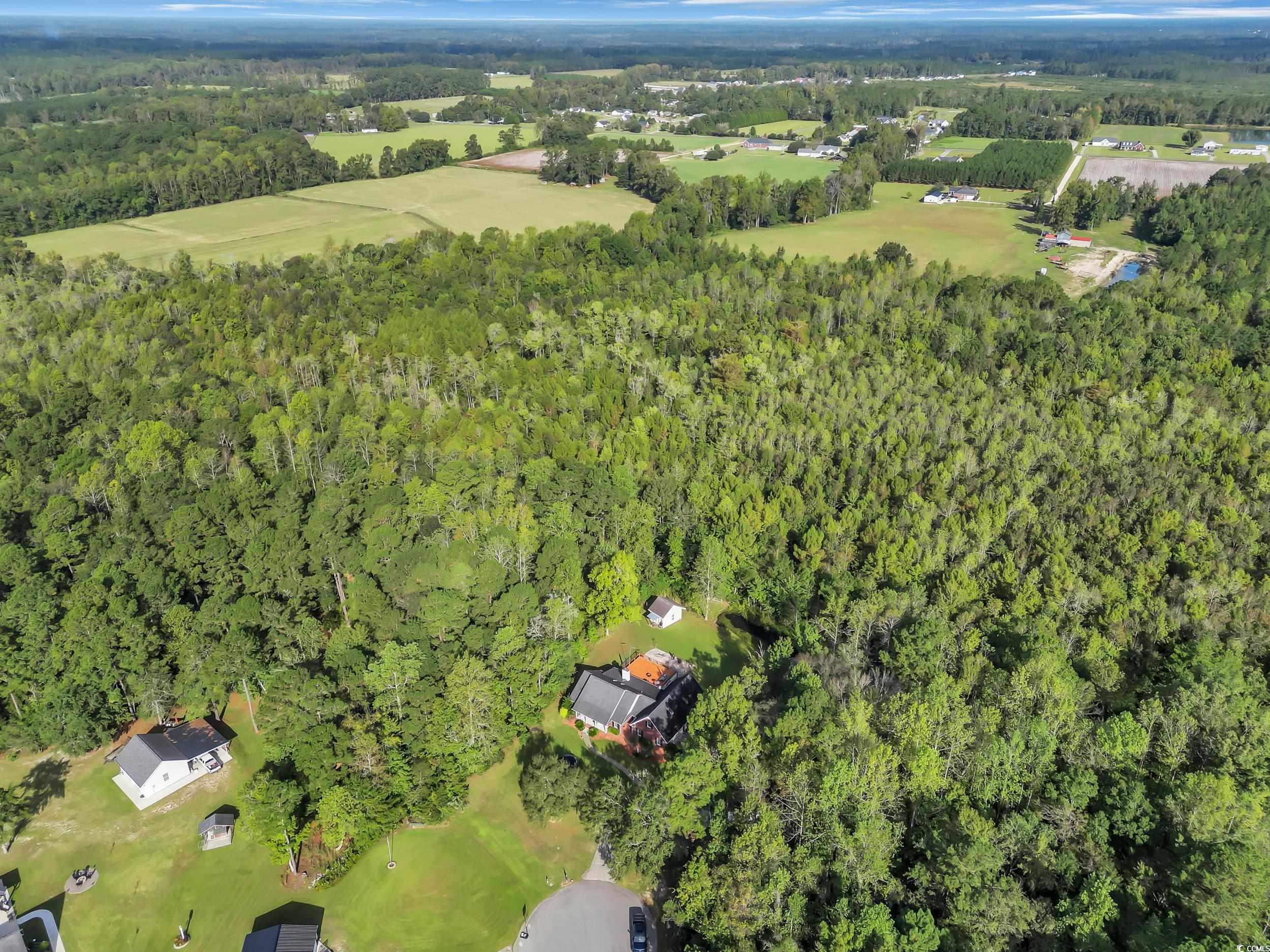 3731 Love Lane Conway, SC 29527 - Photo 31 of 32 Aerial view of property's location featuring a heavily wooded area