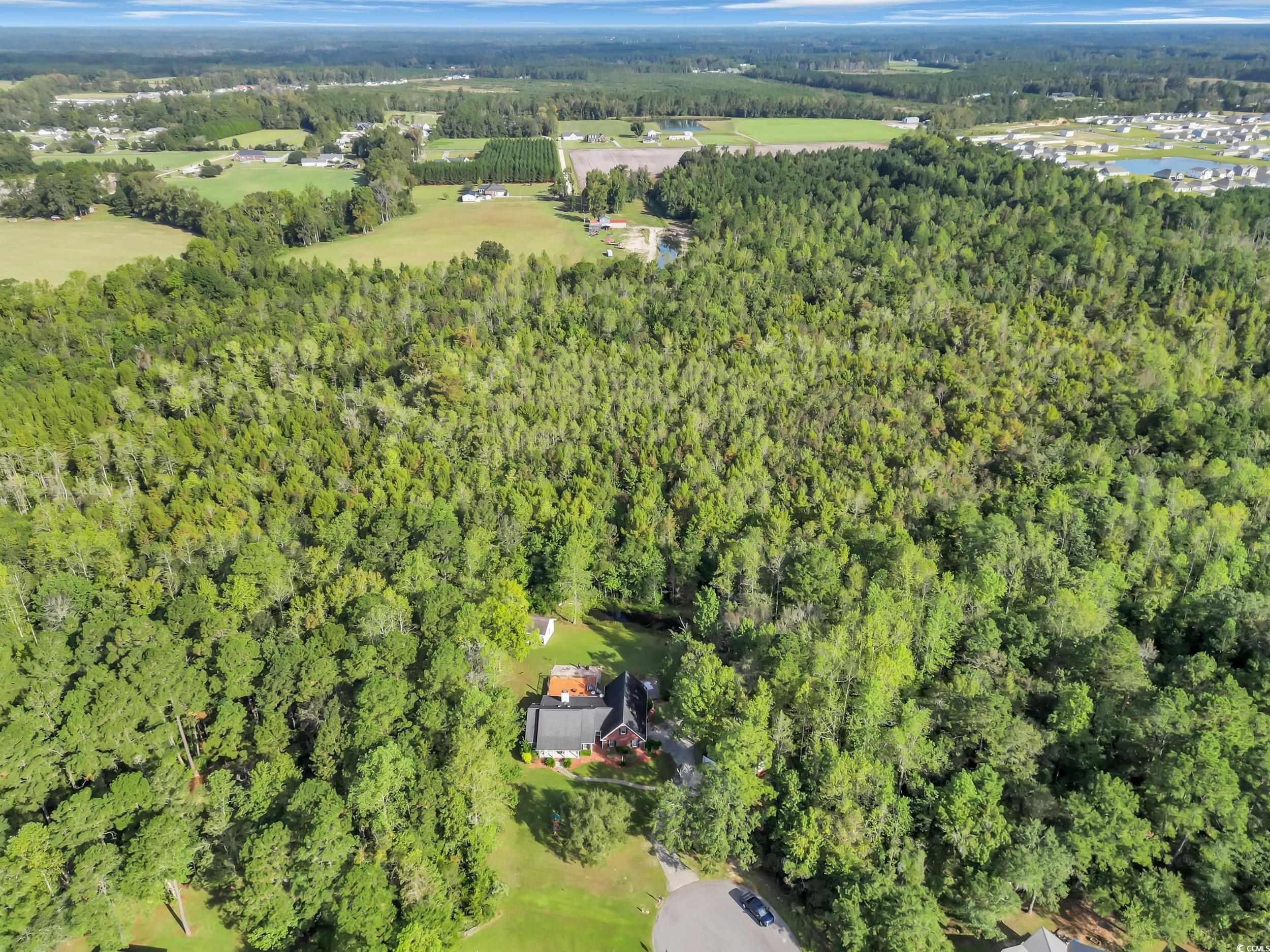 3731 Love Lane Conway, SC 29527 - Photo 5 of 32 Aerial overview of property's location featuring a heavily wooded area