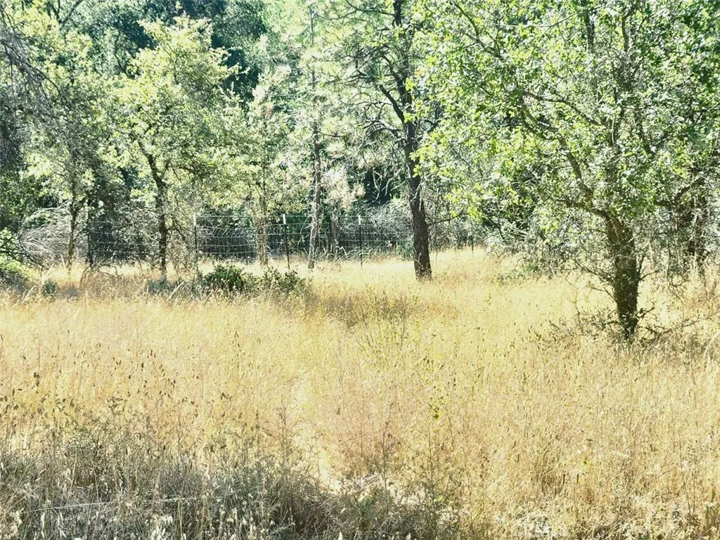 48 Rices Texas Hill Road Oregon House, CA 95962 - Photo 3 of 21