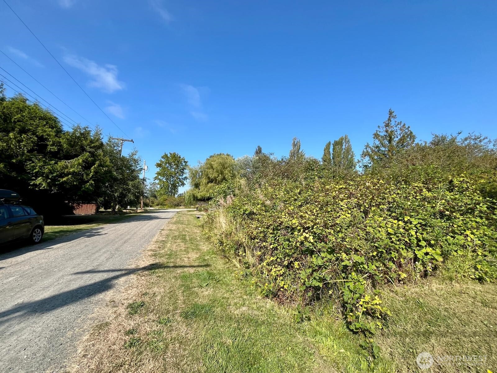1920 Patos Way Point Roberts, WA 98281 - Photo 1 of 12 a view of a yard with plants and a building in the background