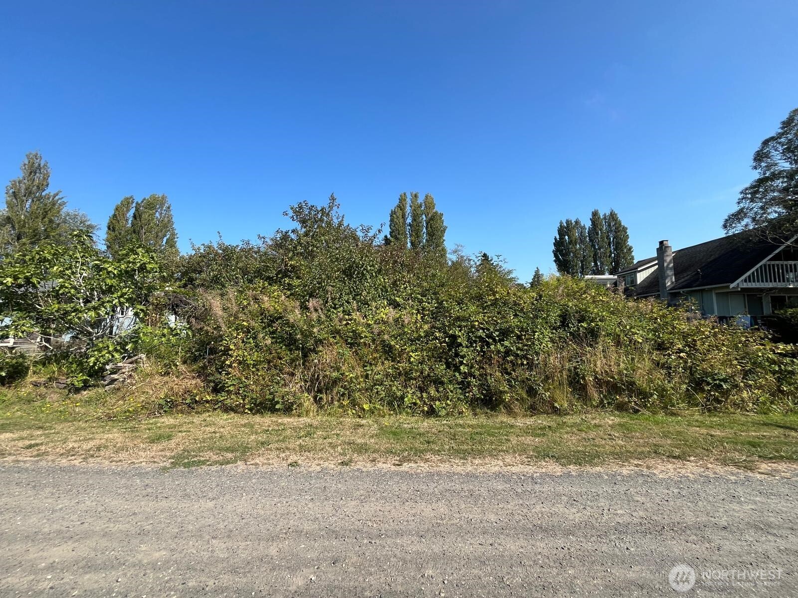 1920 Patos Way Point Roberts, WA 98281 - Photo 2 of 12 a view of a yard with a tree