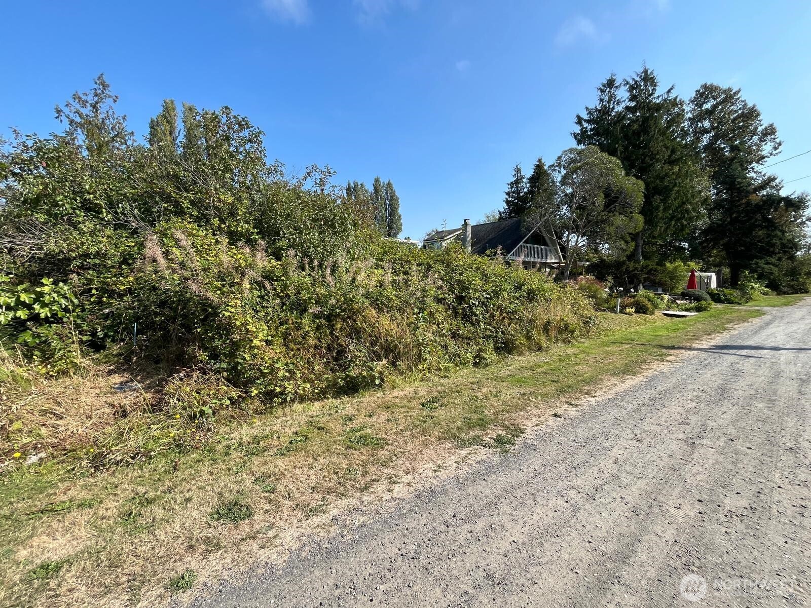 1920 Patos Way Point Roberts, WA 98281 - Photo 3 of 12 a view of a yard with trees