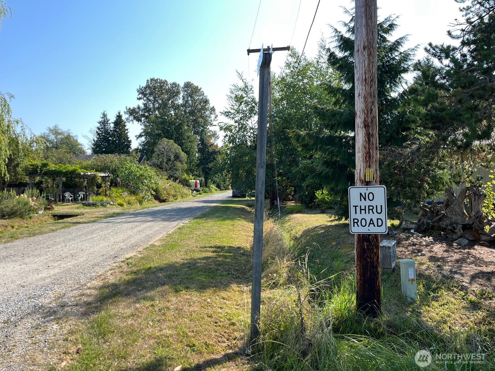 1920 Patos Way Point Roberts, WA 98281 - Photo 7 of 12 a view of a swimming pool with a yard and large trees