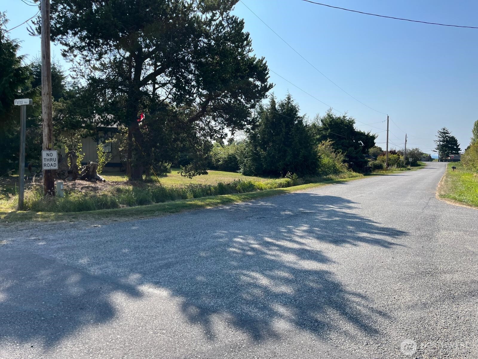 1920 Patos Way Point Roberts, WA 98281 - Photo 8 of 12 a view of outdoor space with garden and trees