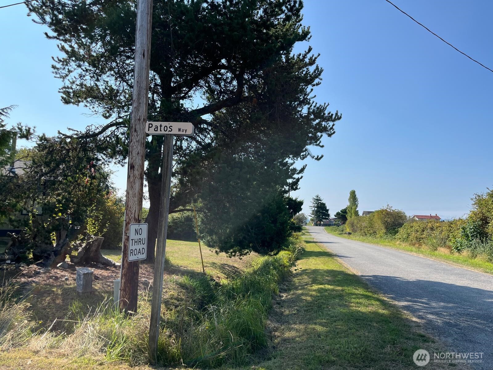 1920 Patos Way Point Roberts, WA 98281 - Photo 9 of 12 a view of a yard with a tree