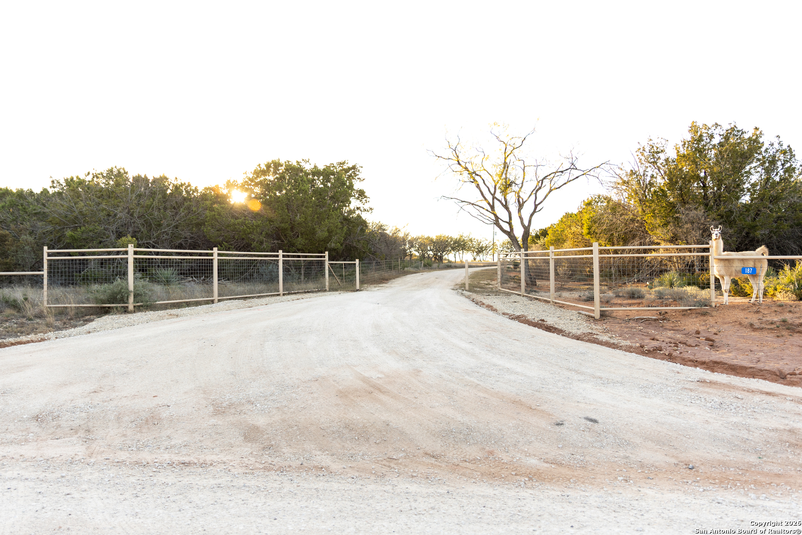 187 Robbins Ranch Road Junction, TX 76849 - Photo 3 of 23 a view of a yard with wooden fence