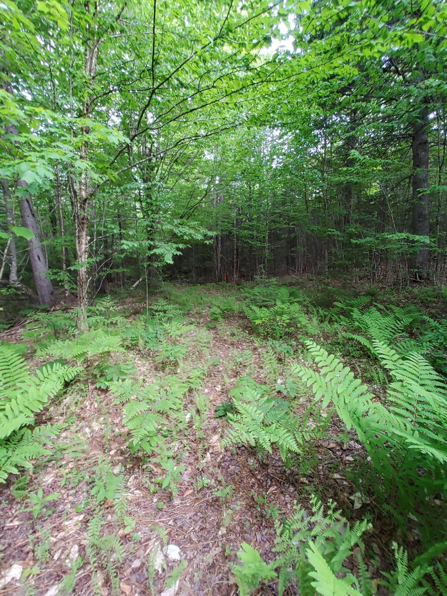 Lot 50 Map 14) Andover, ME 04216 - Photo 4 of 12 20260605_164737