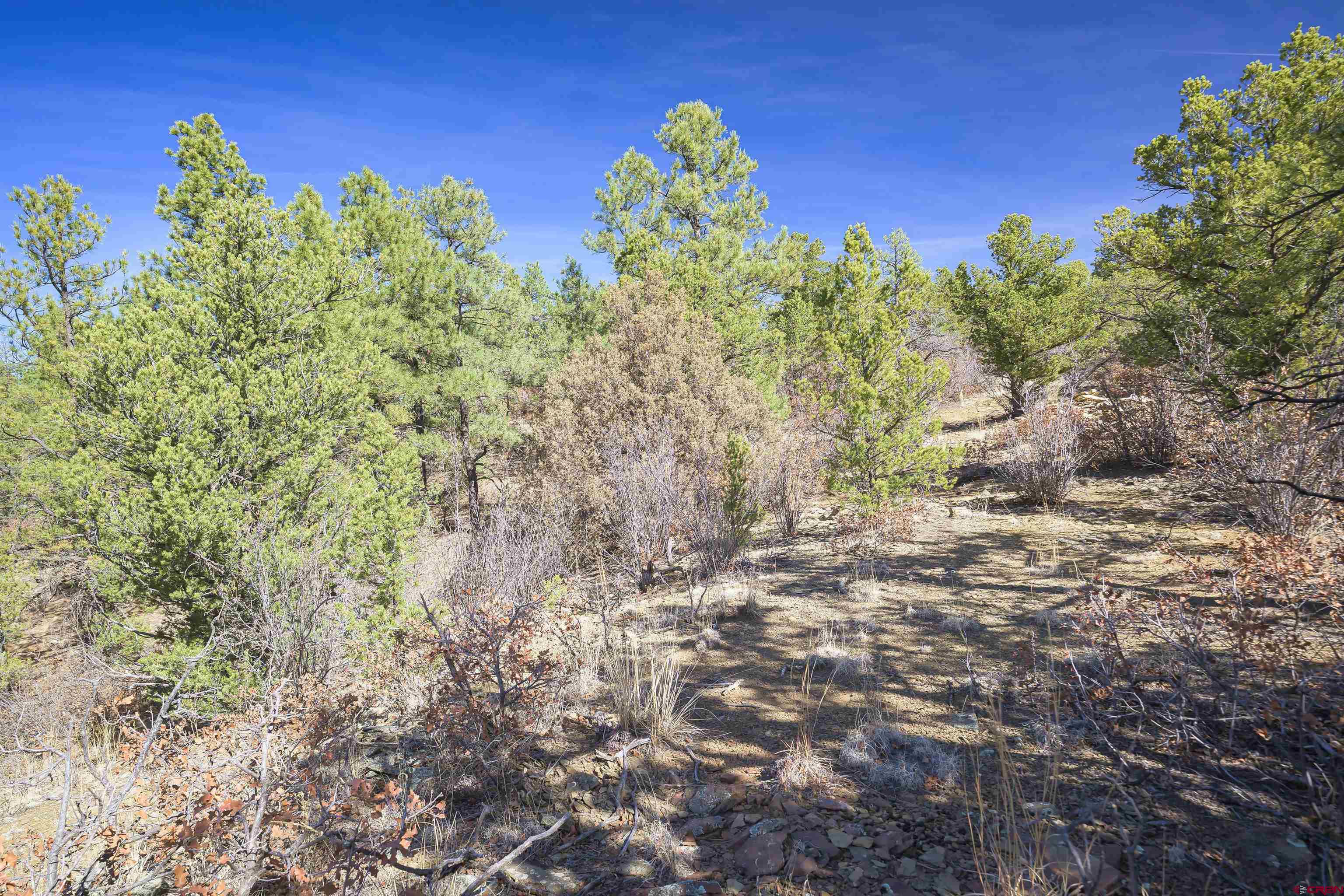 Tbd Tbd Rancho La Weston, CO 81091 - Photo 1 of 34
