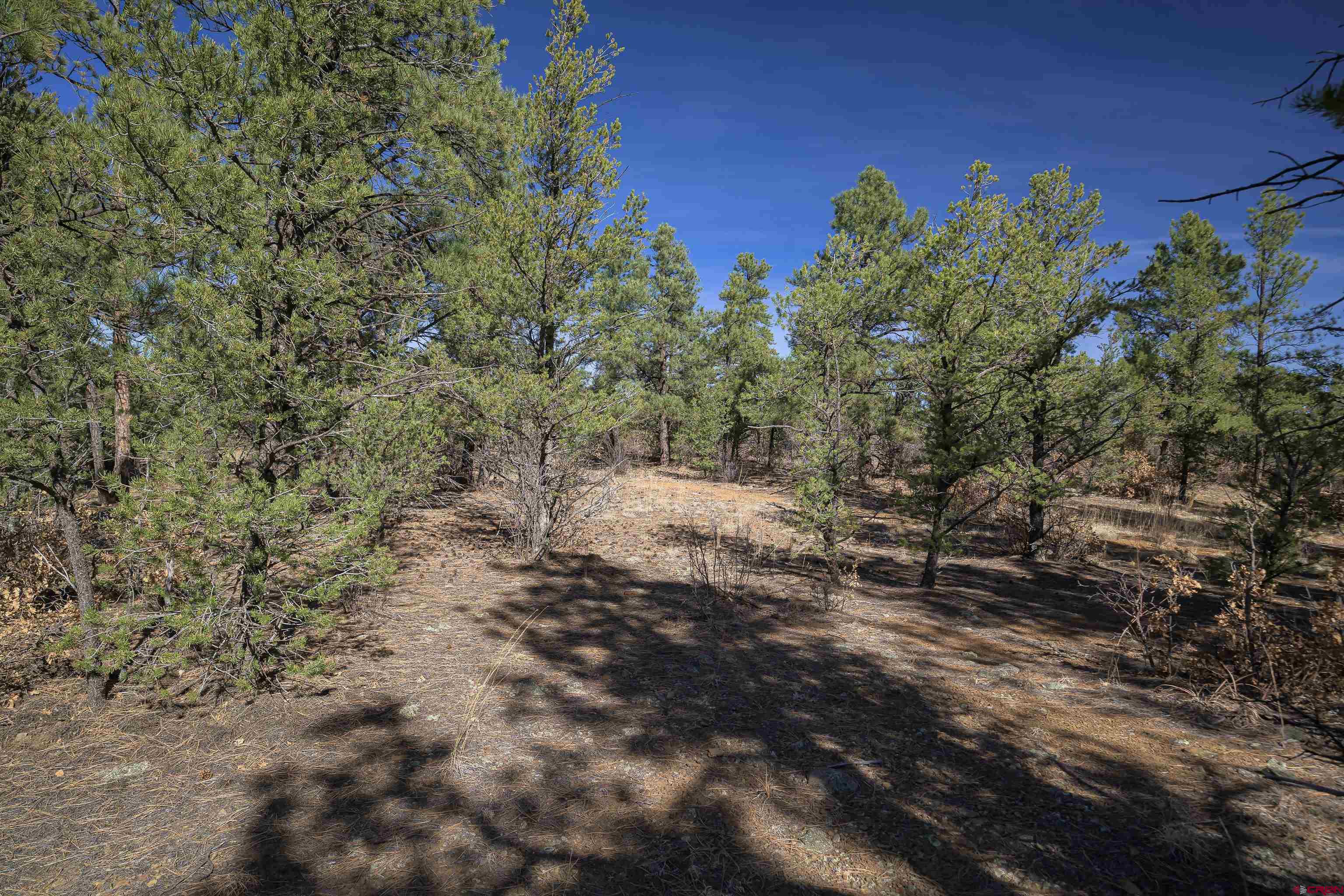 Tbd Tbd Rancho La Weston, CO 81091 - Photo 33 of 34