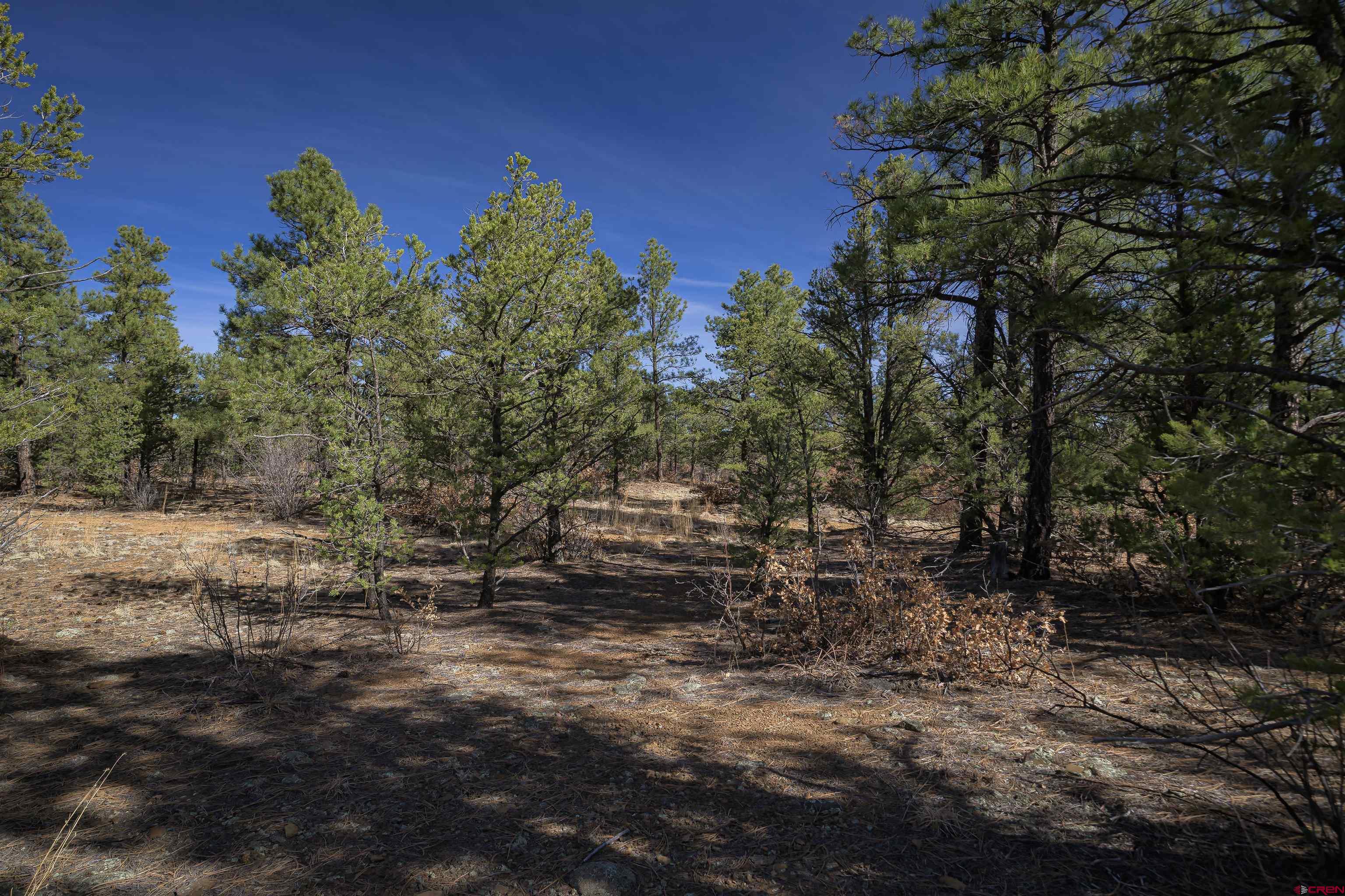 Tbd Tbd Rancho La Weston, CO 81091 - Photo 34 of 34