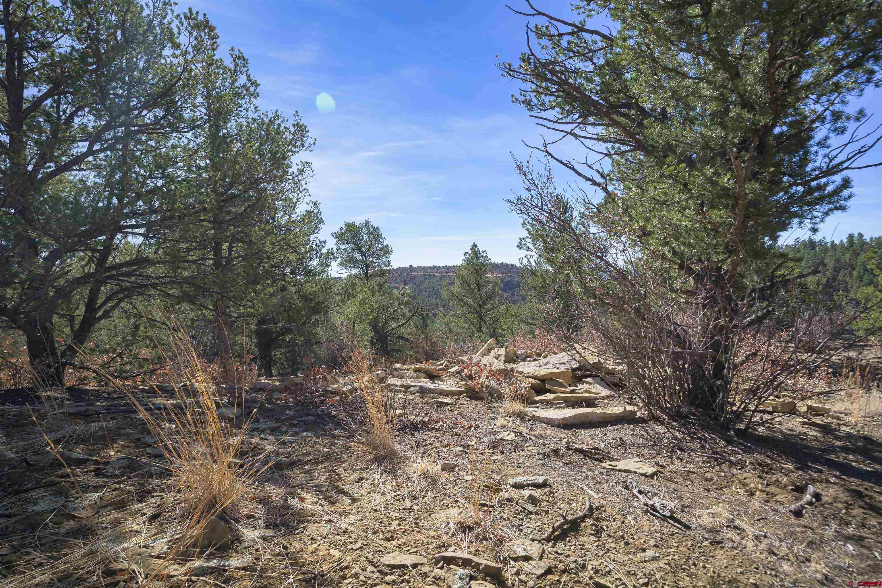 Tbd Tbd Rancho La Weston, CO 81091 - Photo 8 of 34