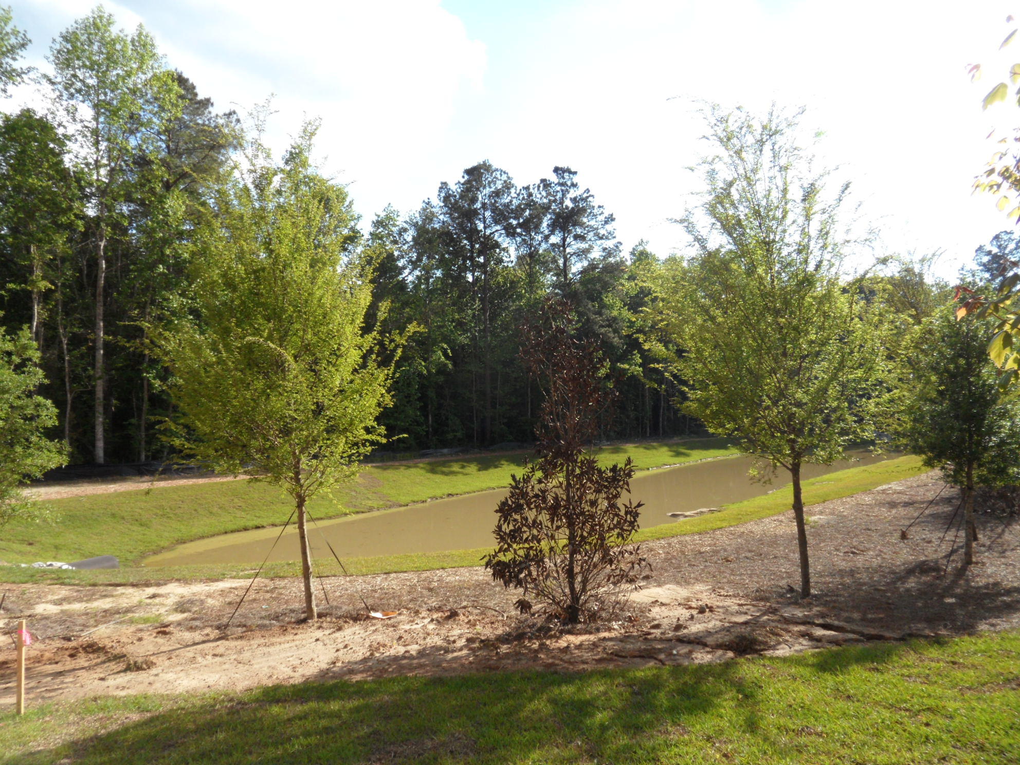 183 Hickory Ridge Way Summerville, SC 29483 - Photo 4 of 34 SAM_3740