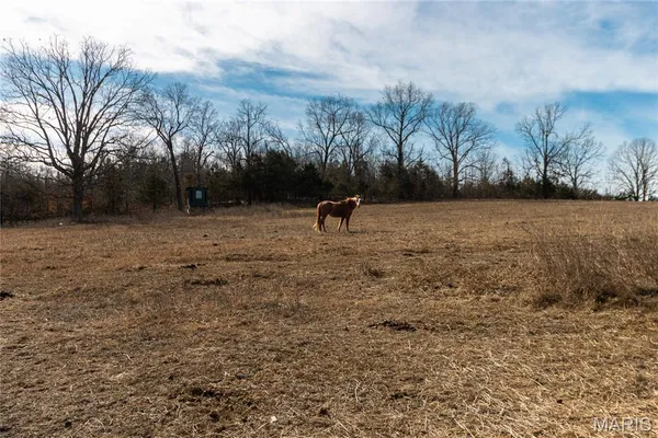 $295,000 | 10498 Hwy Z, Falcon, MO 65470