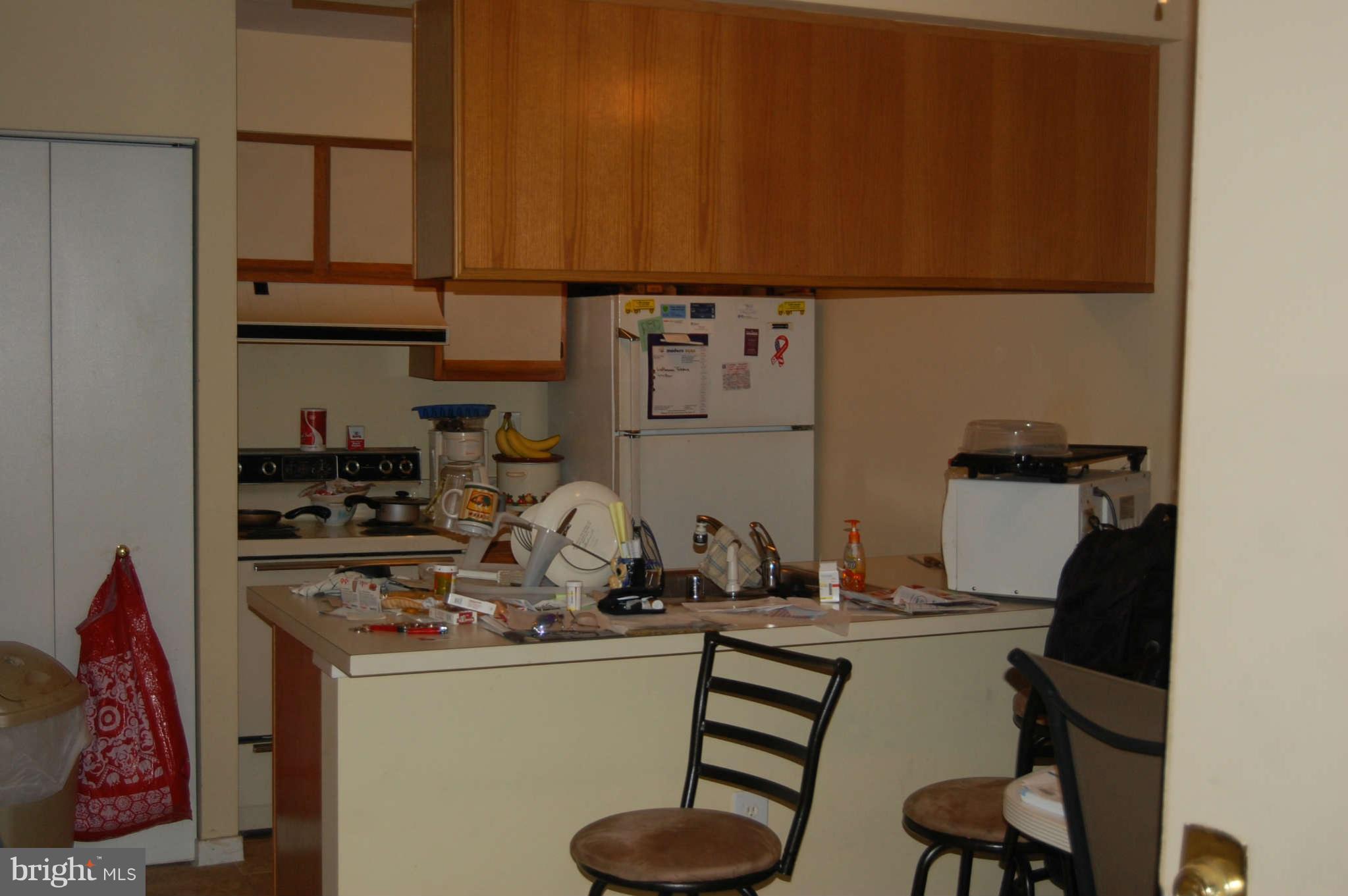 9900 Hellingly Place, Unit 158 Gaithersburg, MD 20886 - Photo 4 of 9 Kitchen