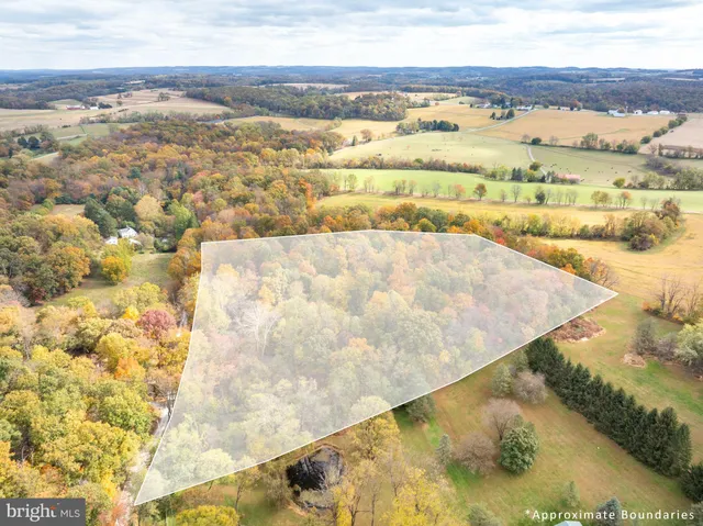 a view of city and ocean