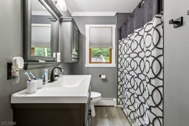 179 Mudtown Road Wantage, NJ 07461 - Photo 21 of 39 a bathroom with a sink a toilet and a mirror