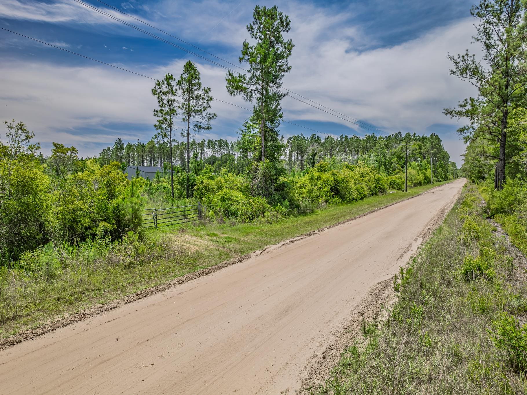 Lot 3 Old Plank Road Crawfordville, FL 32327 - Photo 3 of 18