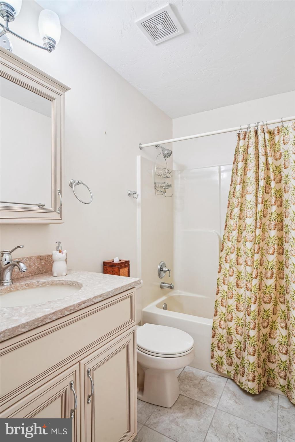 191 Marion Road Westminster, MD 21157 - Photo 20 of 38 a bathroom with a sink a toilet and shower