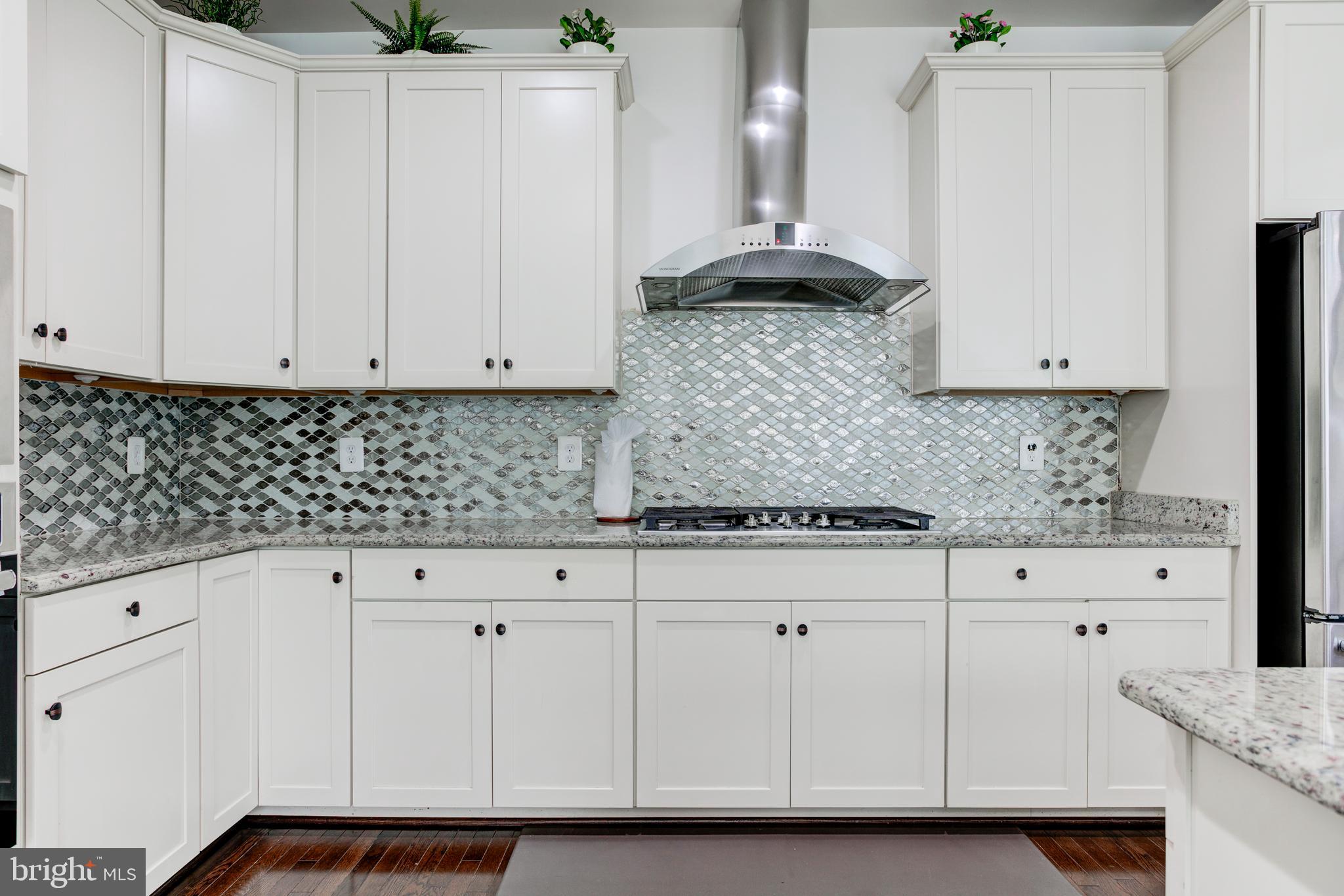 22800 Bubbling Brook Drive Brambleton, VA 20148 - Photo 24 of 64