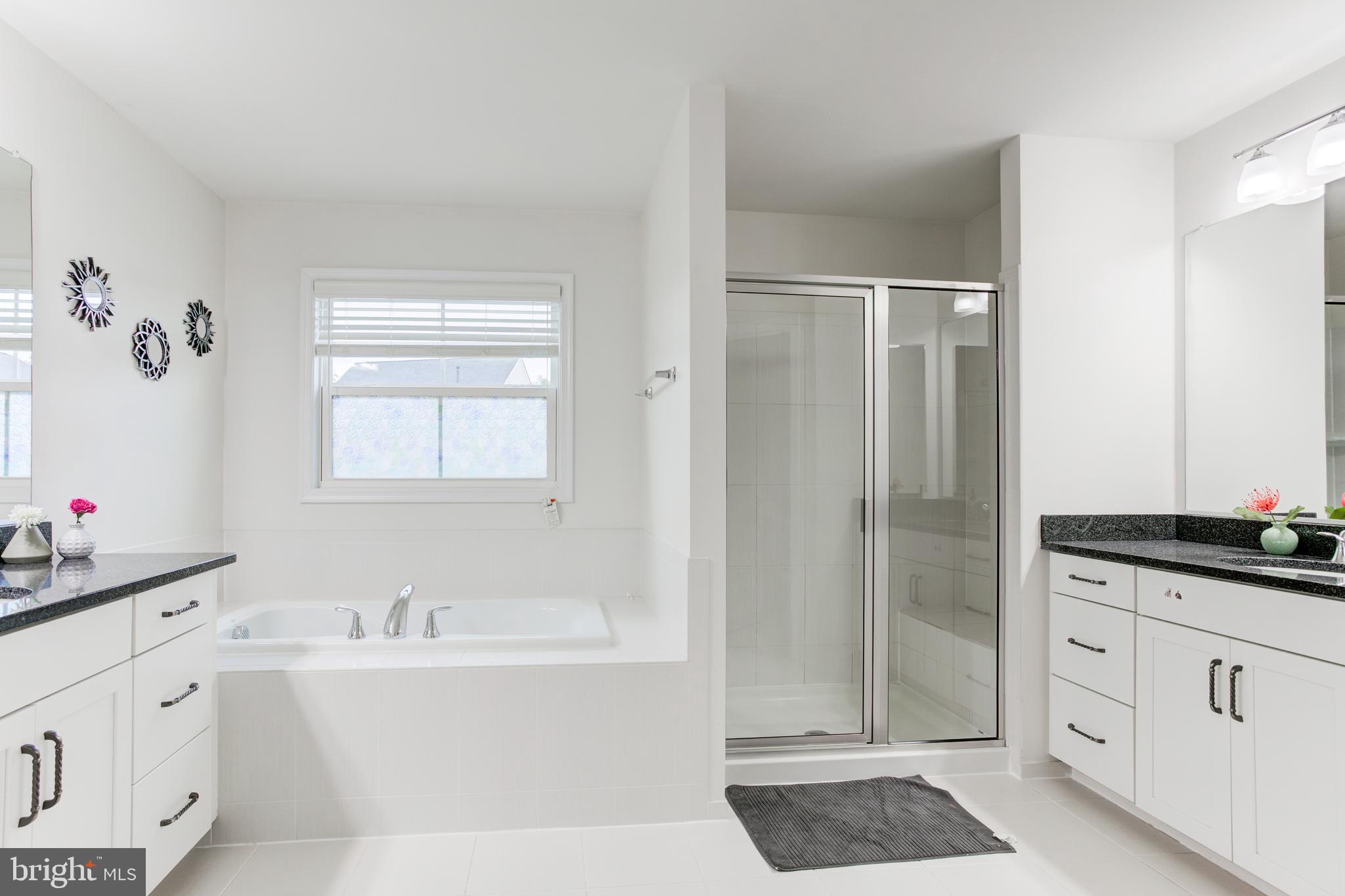 22800 Bubbling Brook Drive Brambleton, VA 20148 - Photo 34 of 64 a bathroom with a tub a sink and a mirror