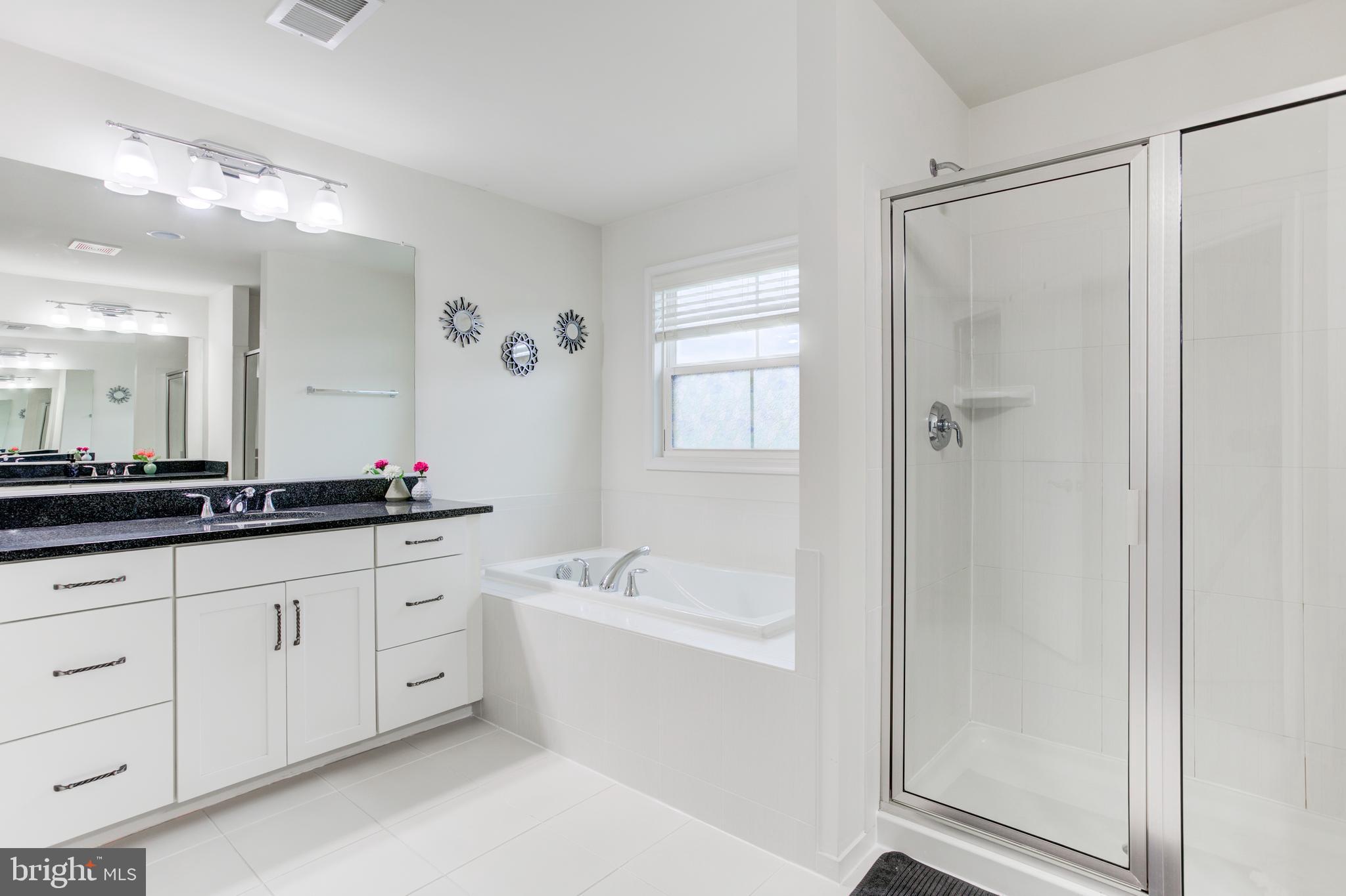22800 Bubbling Brook Drive Brambleton, VA 20148 - Photo 35 of 64 a bathroom with a tub a sink and mirrors