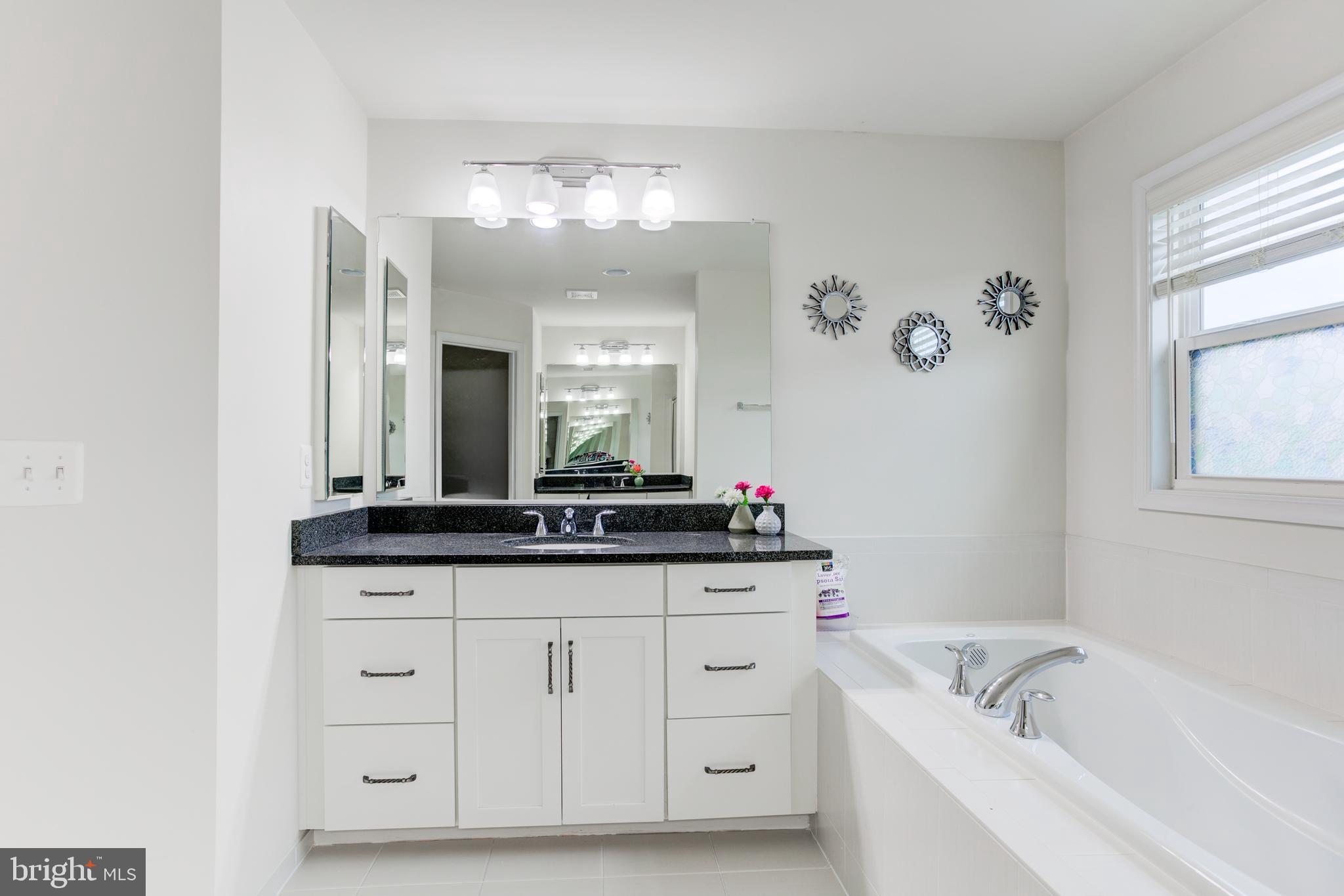 22800 Bubbling Brook Drive Brambleton, VA 20148 - Photo 36 of 64 a bathroom with a sink a large mirror and a bathtub