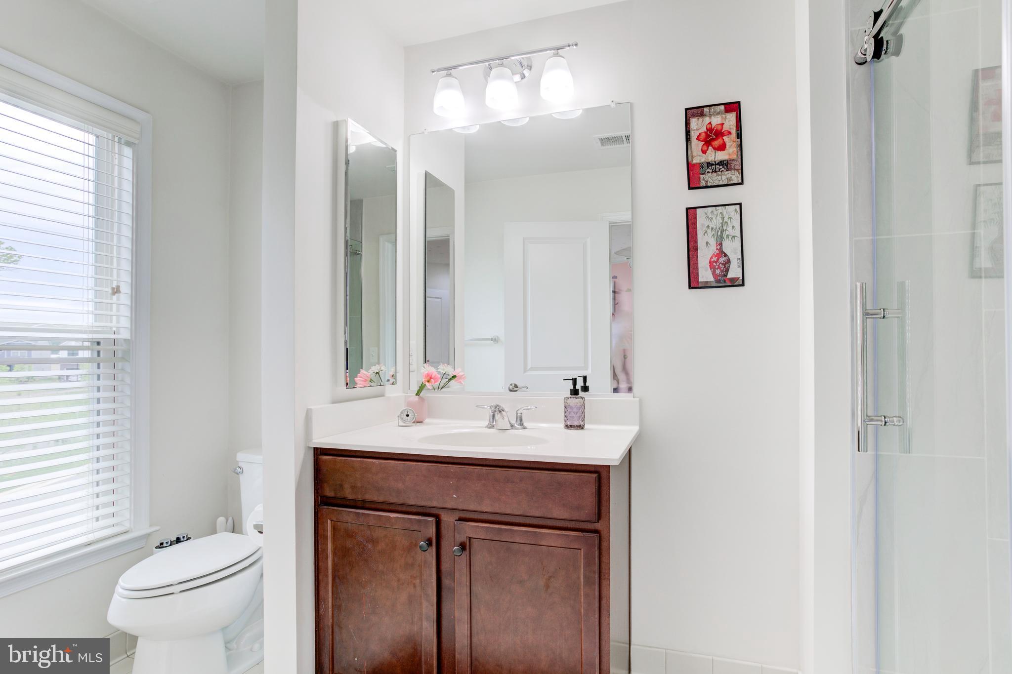 22800 Bubbling Brook Drive Brambleton, VA 20148 - Photo 45 of 64 a bathroom with a sink vanity mirror and toilet