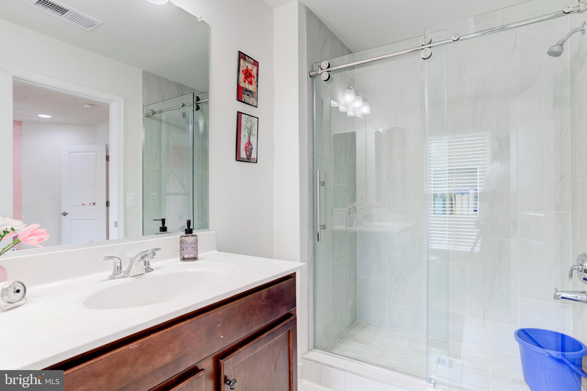 22800 Bubbling Brook Drive Brambleton, VA 20148 - Photo 46 of 64 a bathroom with a sink shower and a mirror