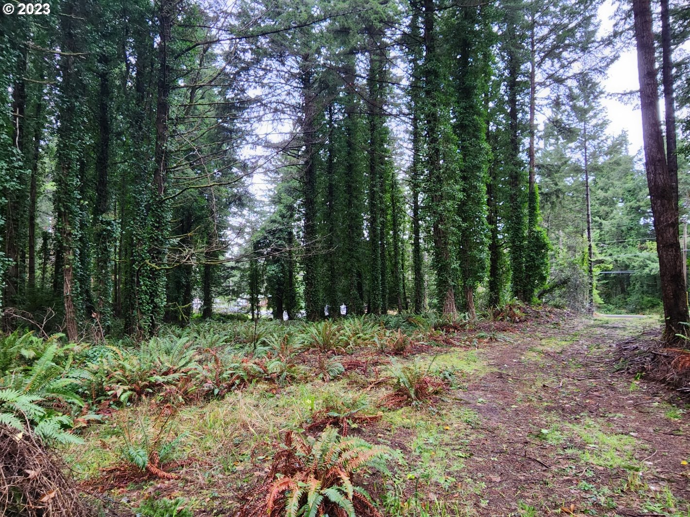 Orchard Road, Unit 1 Port Orford, OR 97465 - Photo 1 of 12 Gallery Image 1