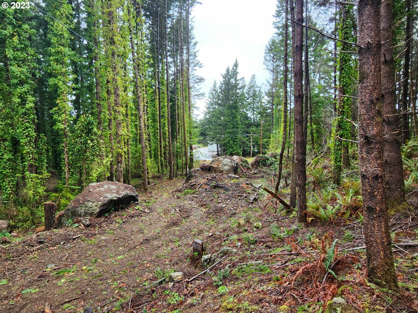 Orchard Road, Unit 1 Port Orford, OR 97465 - Photo 7 of 12 Gallery Image 7