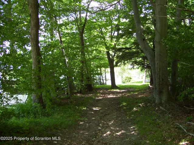 a big yard with lots of green space and trees