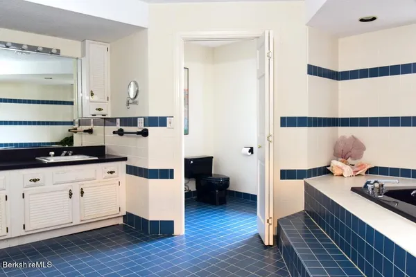 a bathroom with a bath tub and shower