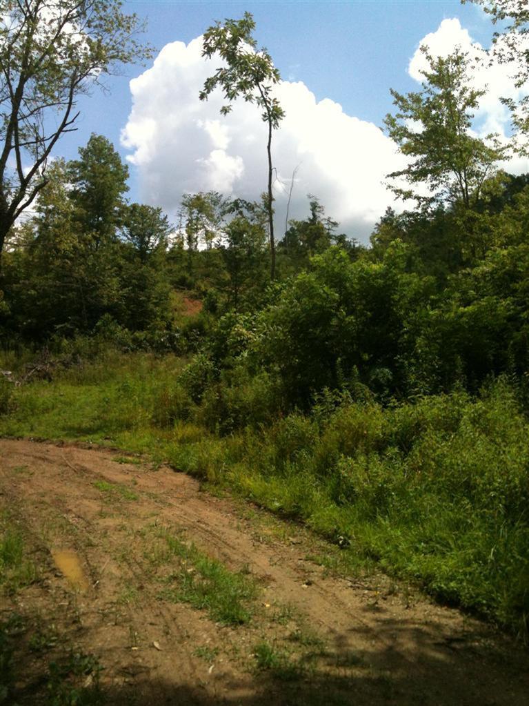 2500 Sasser Road London, KY 40744 - Photo 3 of 11 Additional Photo