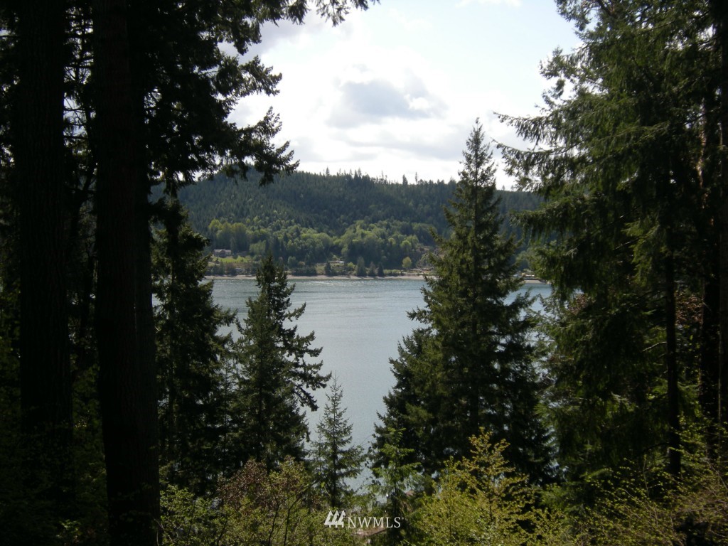 12990 Northeast North Shore Road Belfair, WA 98528 - Photo 1 of 14 Gallery Image 1