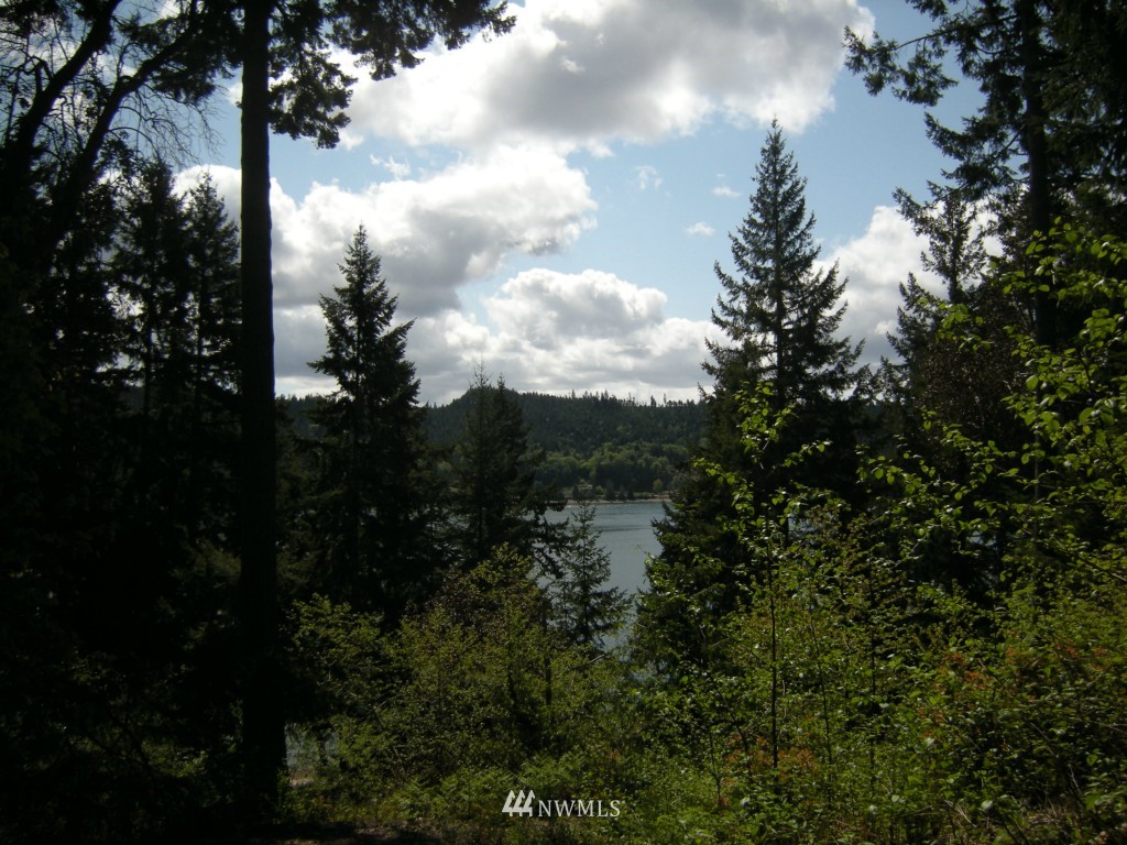 12990 Northeast North Shore Road Belfair, WA 98528 - Photo 2 of 14 Gallery Image 2