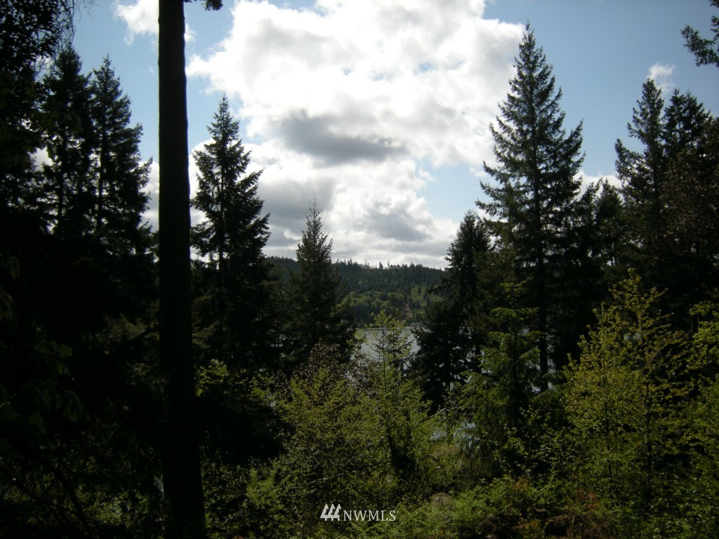 12990 Northeast North Shore Road Belfair, WA 98528 - Photo 11 of 14 Gallery Image 11