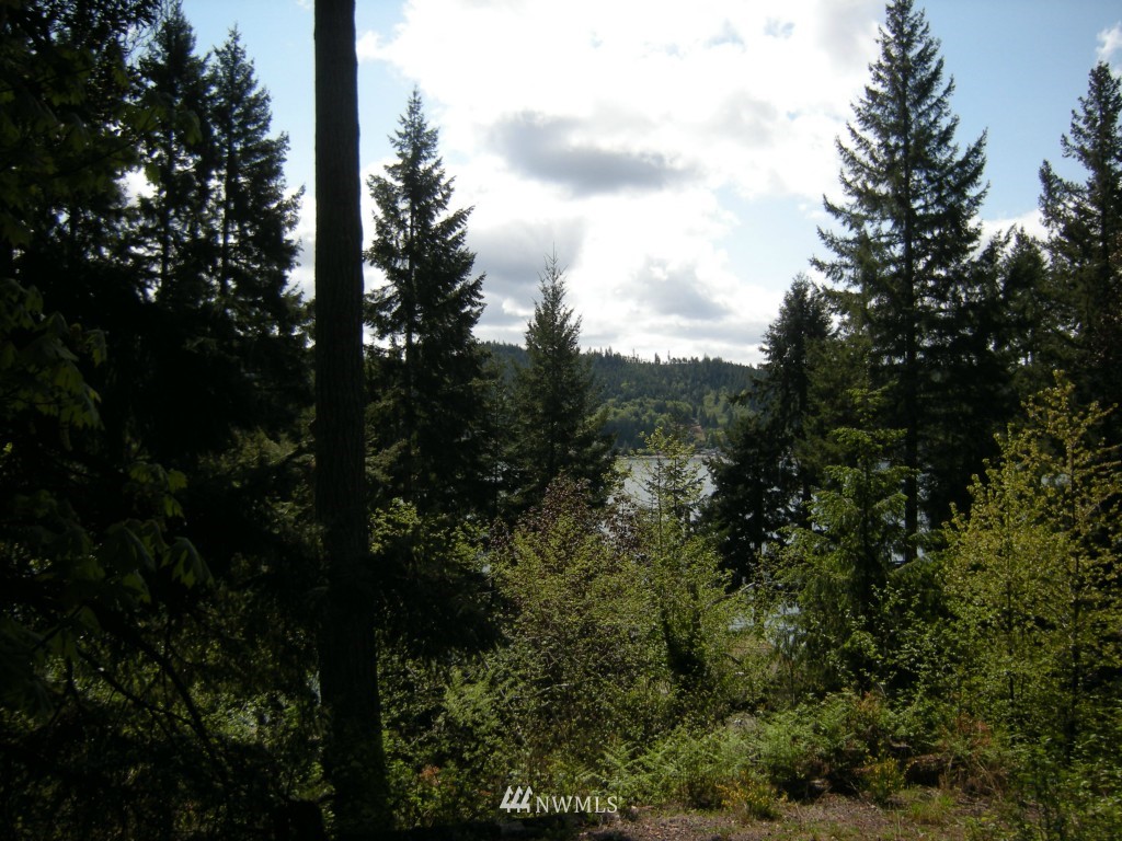 12990 Northeast North Shore Road Belfair, WA 98528 - Photo 12 of 14 Gallery Image 12