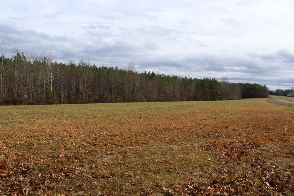 617 Stanton Town Road Dillwyn, VA 23936 - Photo 16 of 19 Gallery Image 16