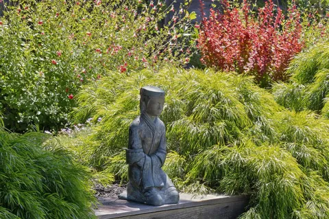 $4,195,000 | 453 Wellesley Avenue, Mill Valley, CA 94941
