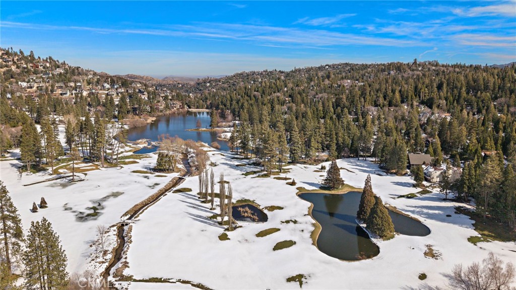 180 Grass Valley Road, Unit 20 Lake Arrowhead, CA 92352 - Photo 54 of 67