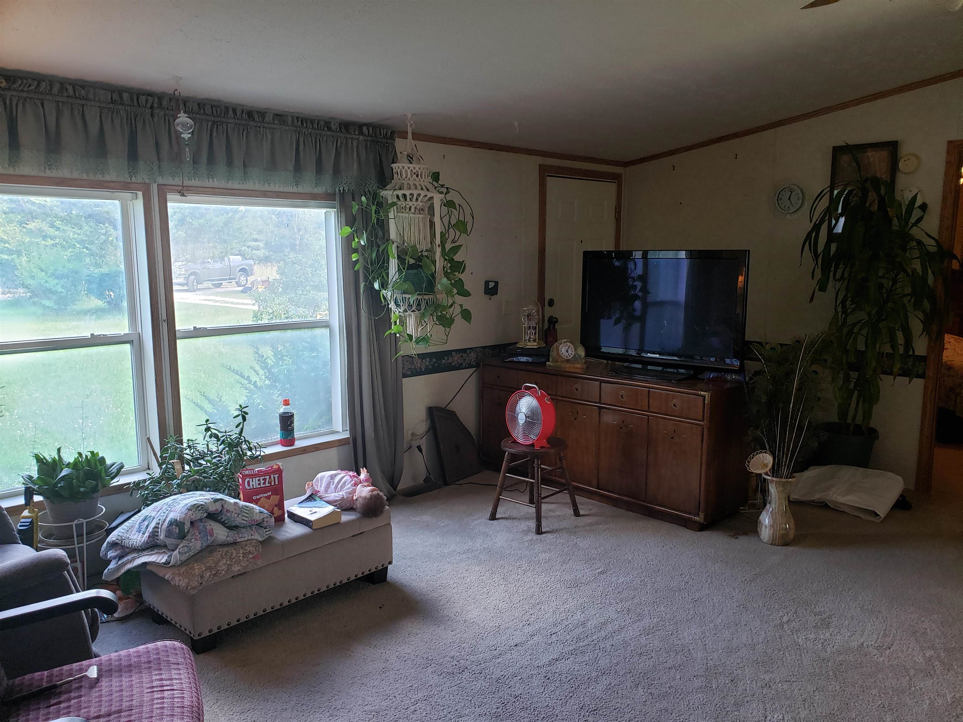 2909 North Pingree Road Alma, MI 48801 - Photo 19 of 24 1903637-18.JPG