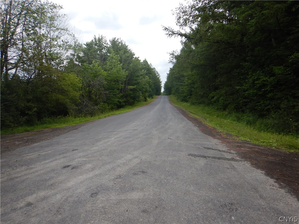 Bull Hill Road Newfield, NY 14867 - Photo 18 of 36