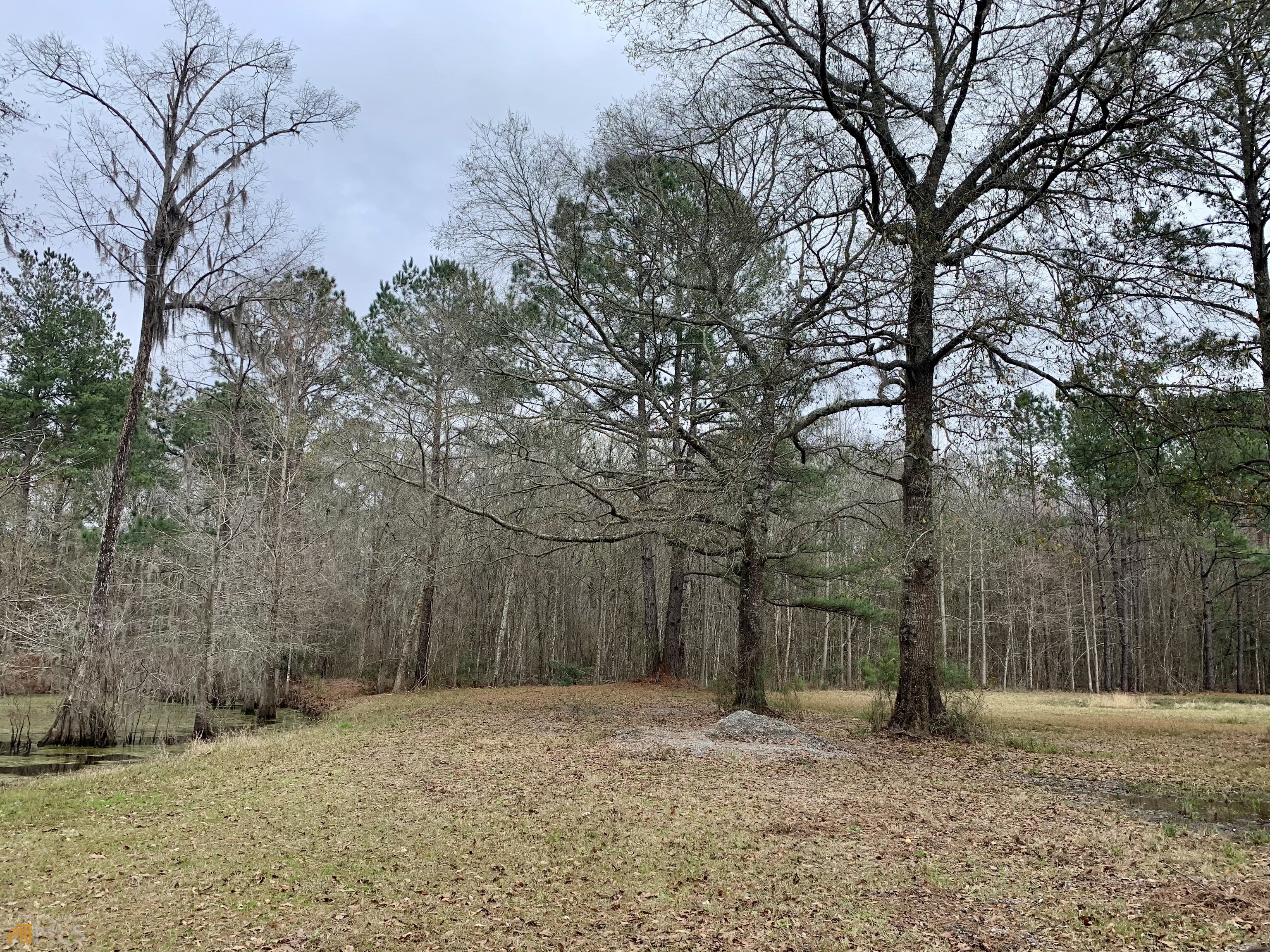 196 Tommy Long Road Rincon, GA 31326 - Photo 1 of 1 a backyard of a house with large trees
