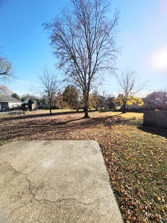 a view of a yard with trees